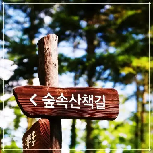 화담숲-예약-주차