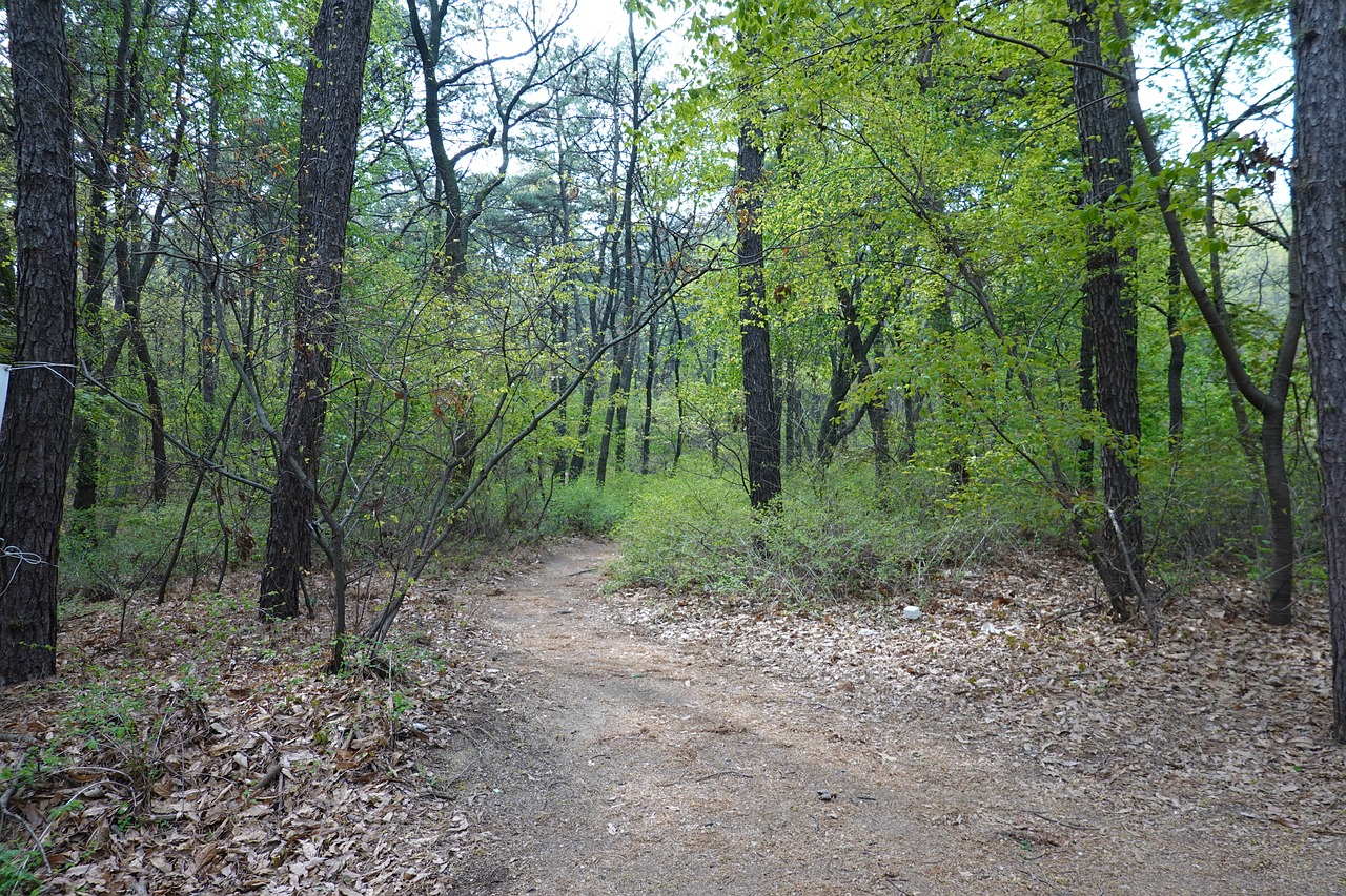 경북 성주 여행: 숨겨진 보물 같은 매력을 찾아서