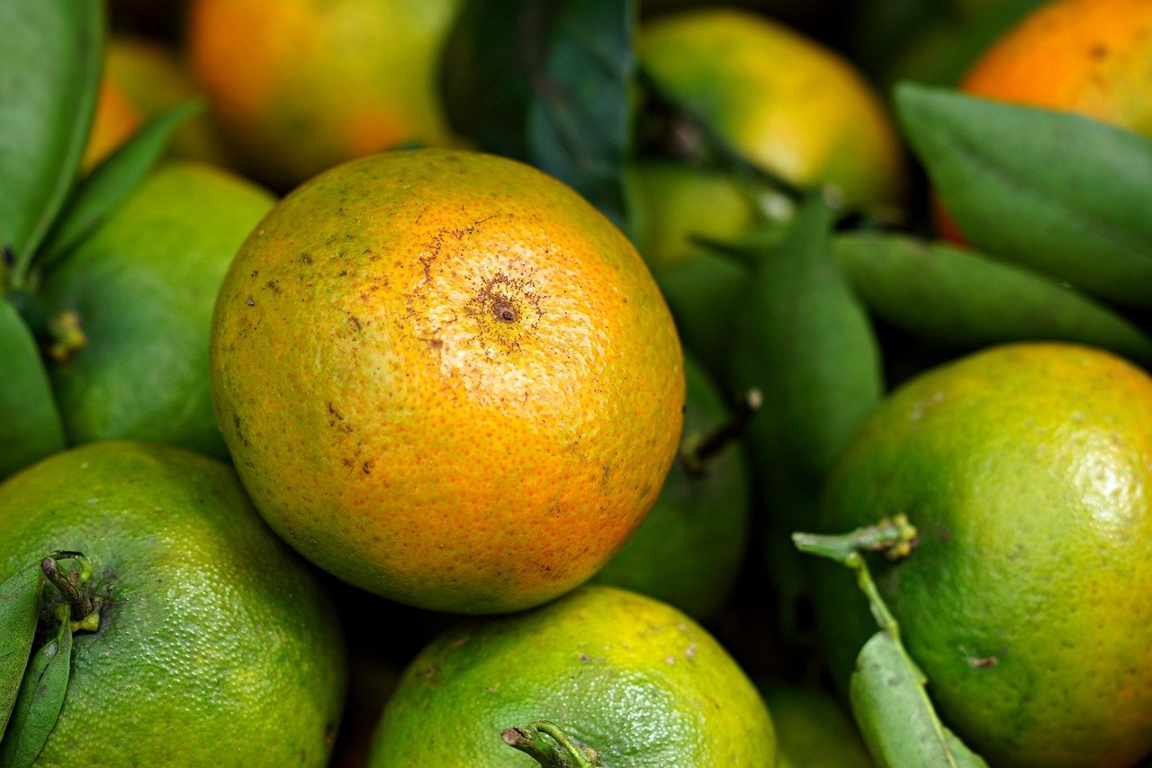 비 오는 날, 방충망과 베란다 창을 시원하게 청소하는 방법