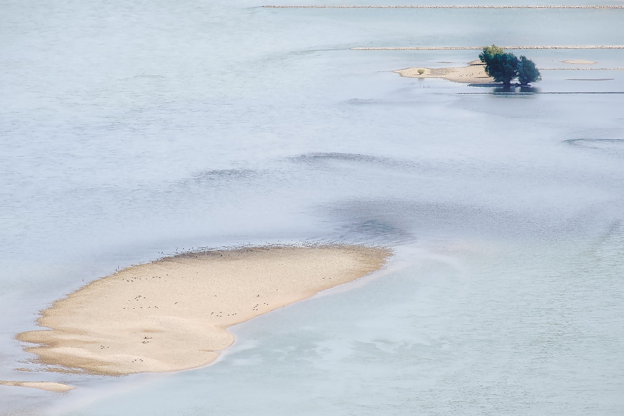 2018년 무료 신년운세 보는 법: 무술년의 희망과 기회