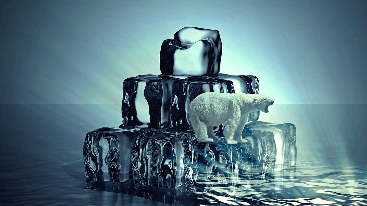 2025년 염소자리 운세: 희망과 도전의 교차점