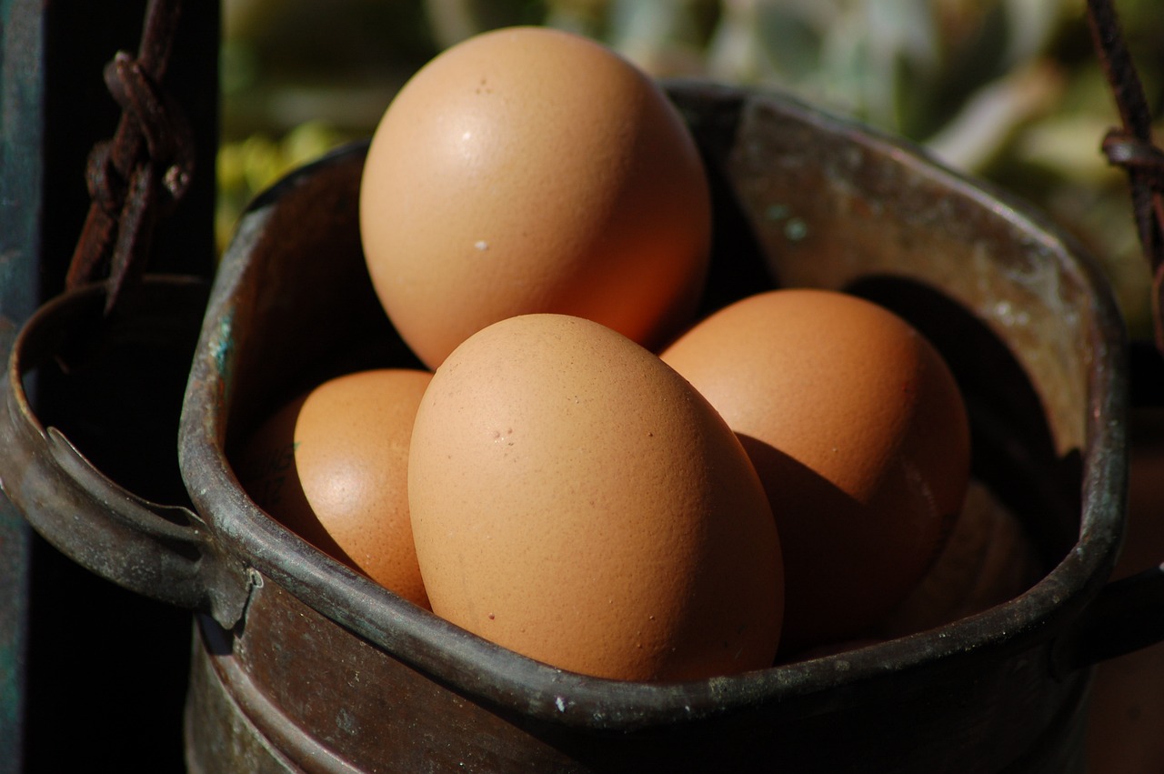일본의 쥐젖 제거 크림, 이보페디아: 효과와 경험담