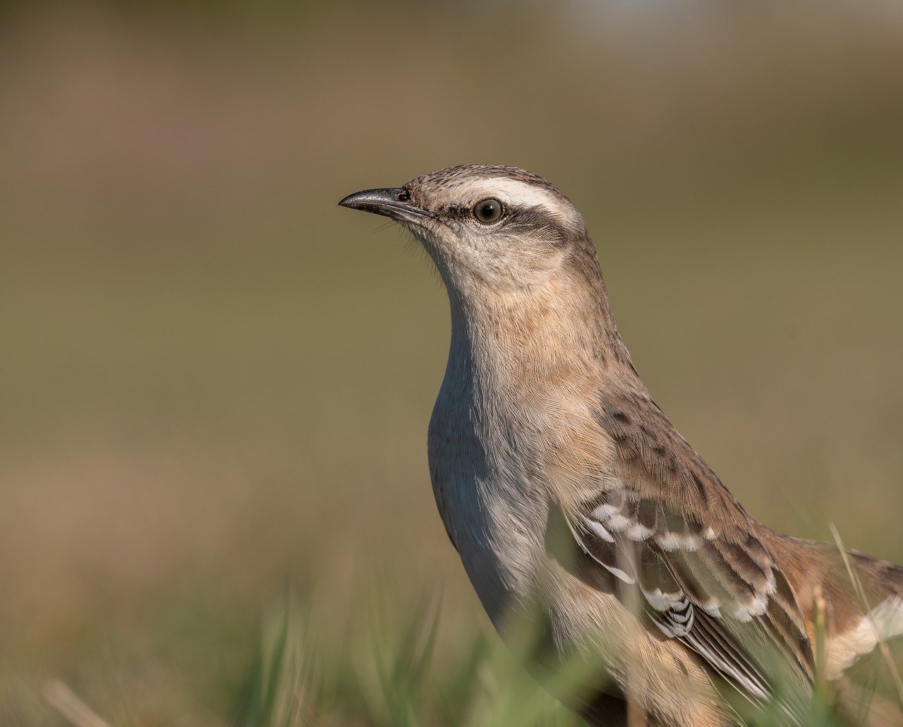 당신에게 꼭 맞춘 집현전카렌 필수템, 지금 바로 발견하세요!