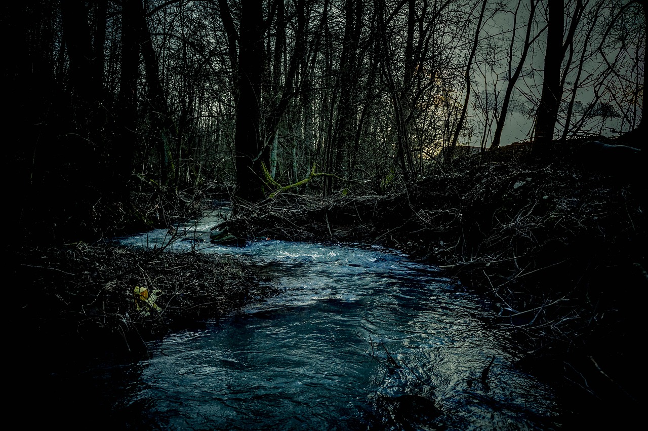 2024 MMA, 아이돌 팬들을 위한 최고의 축제! 놓치지 마세요!