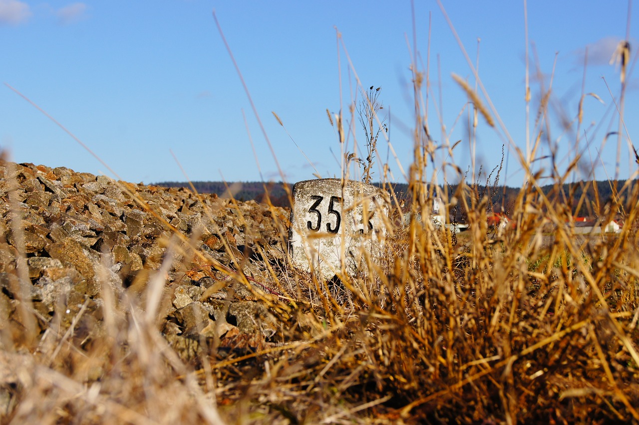 신용카드로 스마트한 혜택! 카드 캐시백의 모든 것