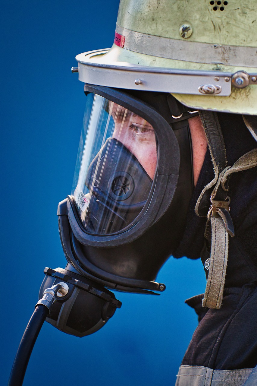 문경오미자 : 건강을 지키는 보물 같은 열매