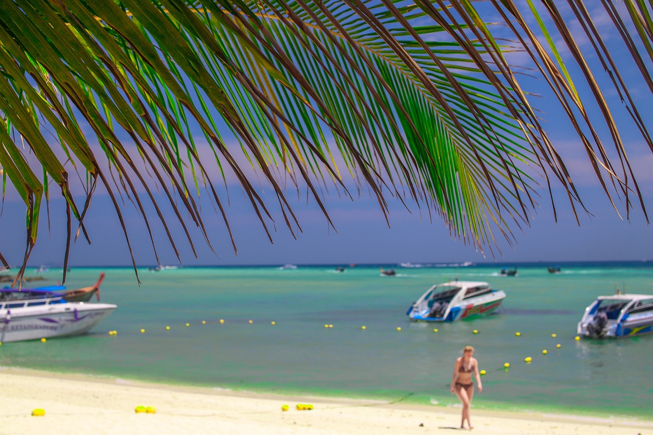 연말정산, 월급의 몇 퍼센트가 환급될까? 절세 전략과 환급금 완벽 가이드