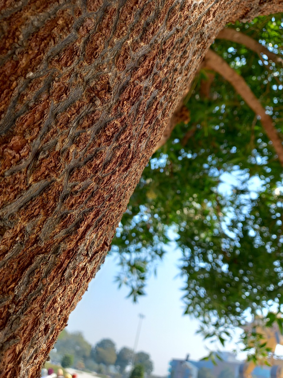 2024 수능생을 위한 완벽한 선물 추천