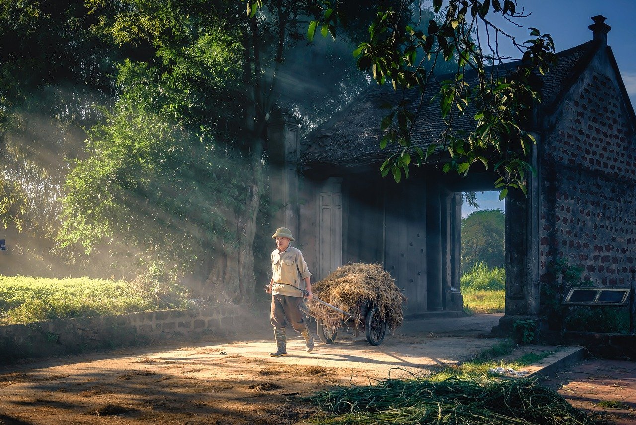 2024년 더 현대 크리스마스, 성공적인 예약을 위한 완벽한 팁