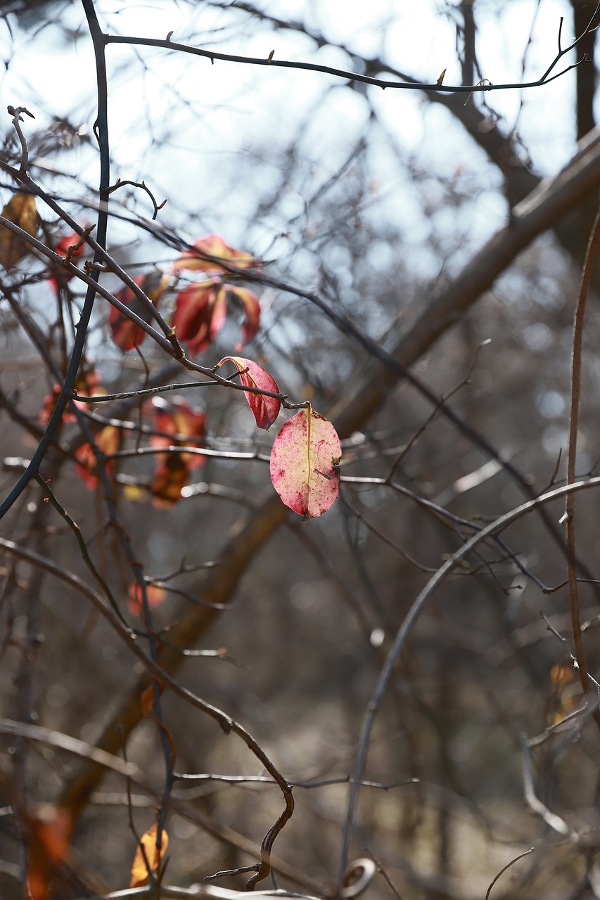 봄을 맞이하여 2025년 3월 달력으로 계획 세우기