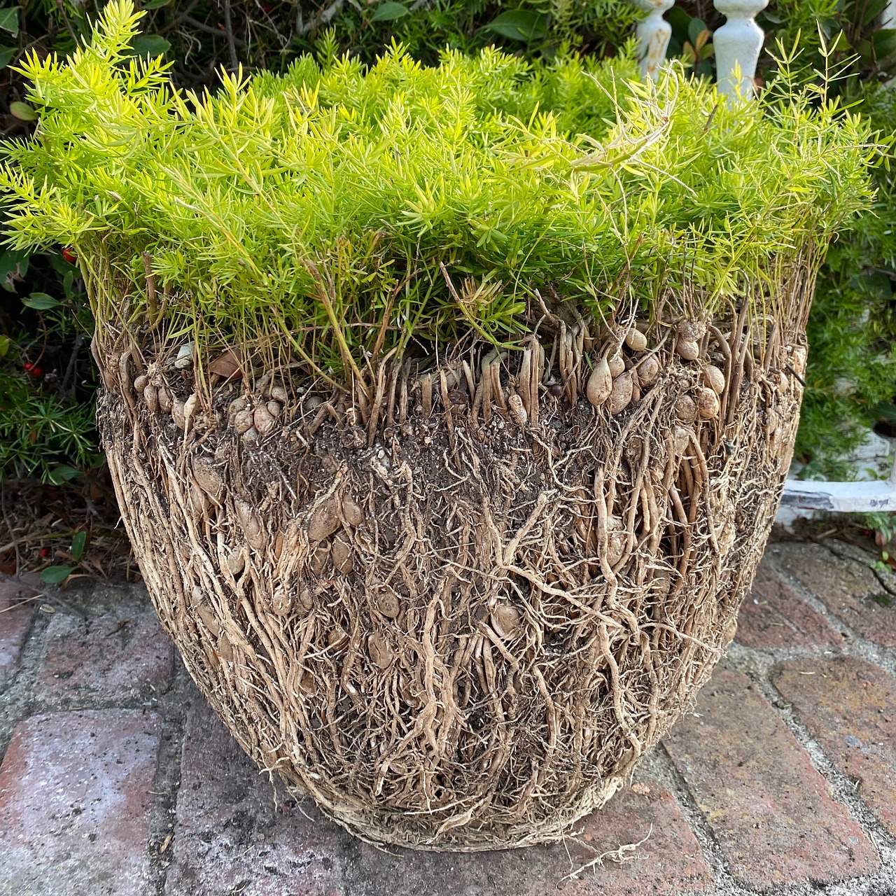 신협 아파트 담보 대출: 성공적인 자금 조달을 위한 완벽 가이드