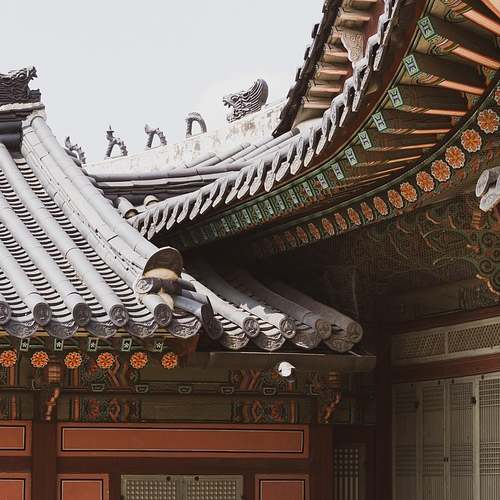 위장약 무코란정: 효능과 부작용을 알면 안심하고 복용할 수 있어요