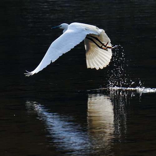 서민을 위한 정부지원 대출, 혜택과 조건을 알고 신용을 지키세요!