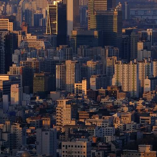 시흥에서 쉽게 찾는 주말 및 휴일 약국! 당신의 건강을 지켜줄 파트너