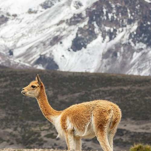8대 소비쿠폰 신청 방법과 활용처를 쉽게 알아보세요