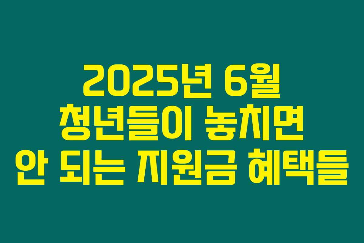 2025년 6월 청년들이 놓치면 안 되는 지원금 혜택들