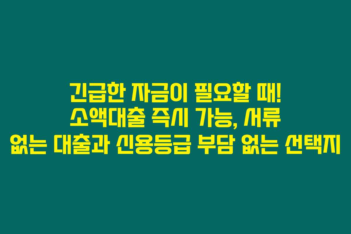 긴급한 자금이 필요할 때! 소액대출 즉시 가능, 서류 없는 대출과 신용등급 부담 없는 선택지