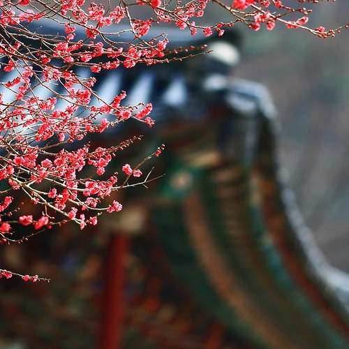 전립선 비대증, 극복을 위한 다양한 치료 방법 안내