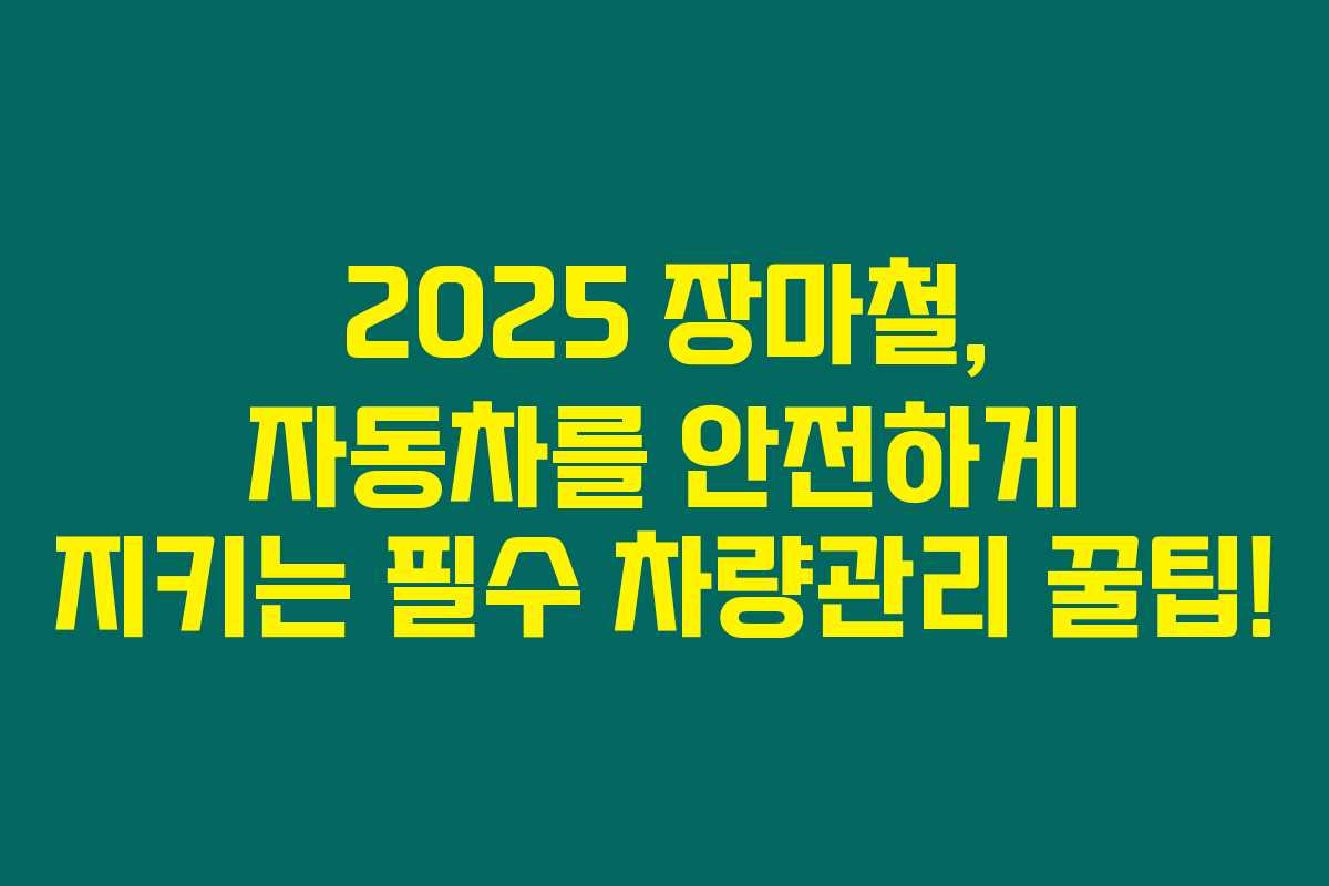 2025 장마철, 자동차를 안전하게 지키는 필수 차량관리 꿀팁! 2025 장마철, 자동차를 안전하게 지키는 필수 차량관리 꿀팁!