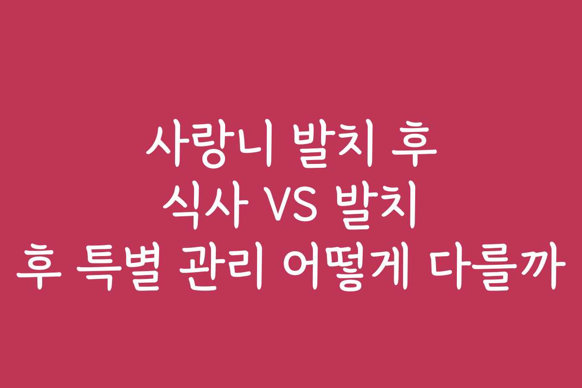 사랑니 발치 후 식사 VS 발치 후 특별 관리 어떻게 다를까