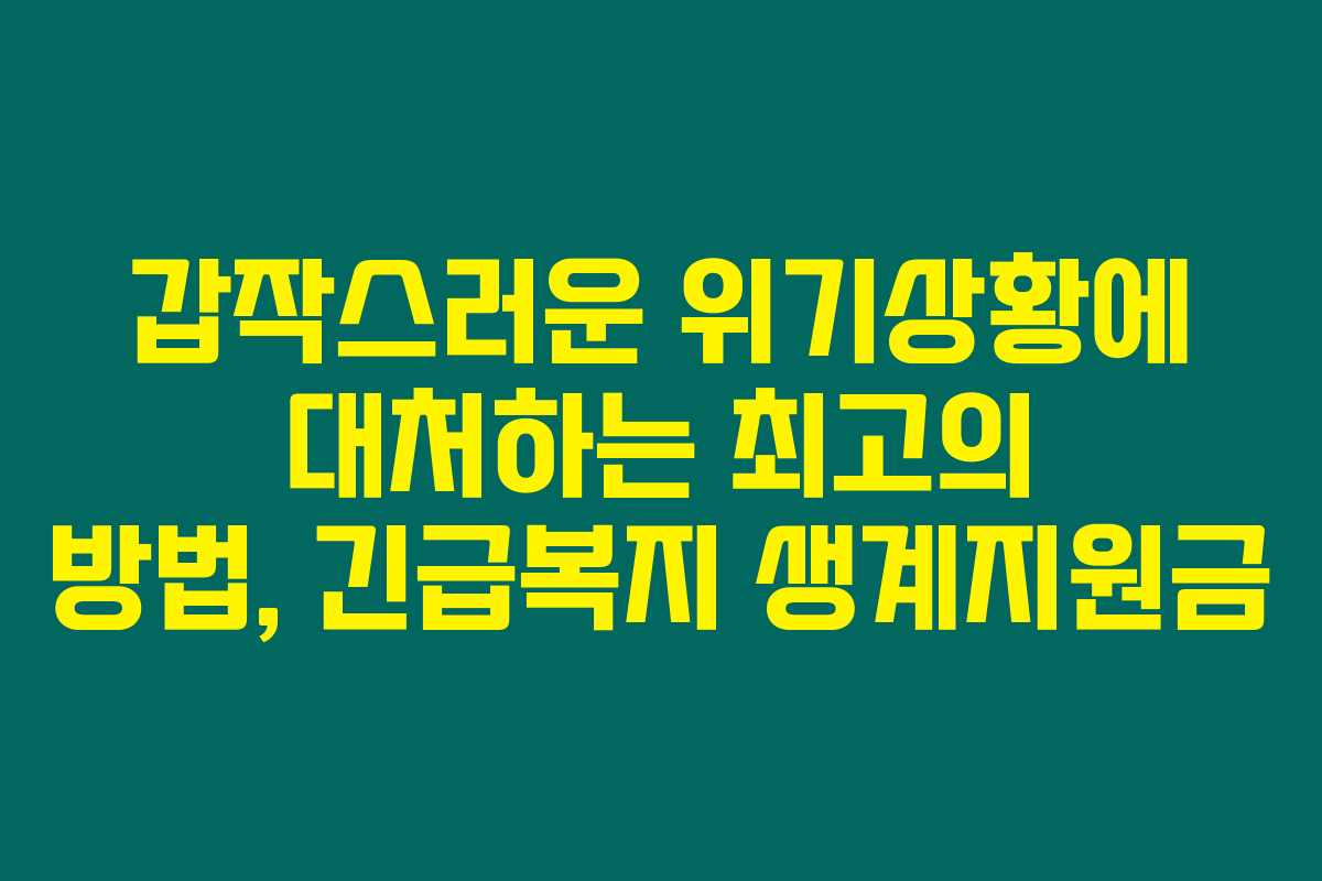 갑작스러운 위기상황에 대처하는 최고의 방법, 긴급복지 생계지원금