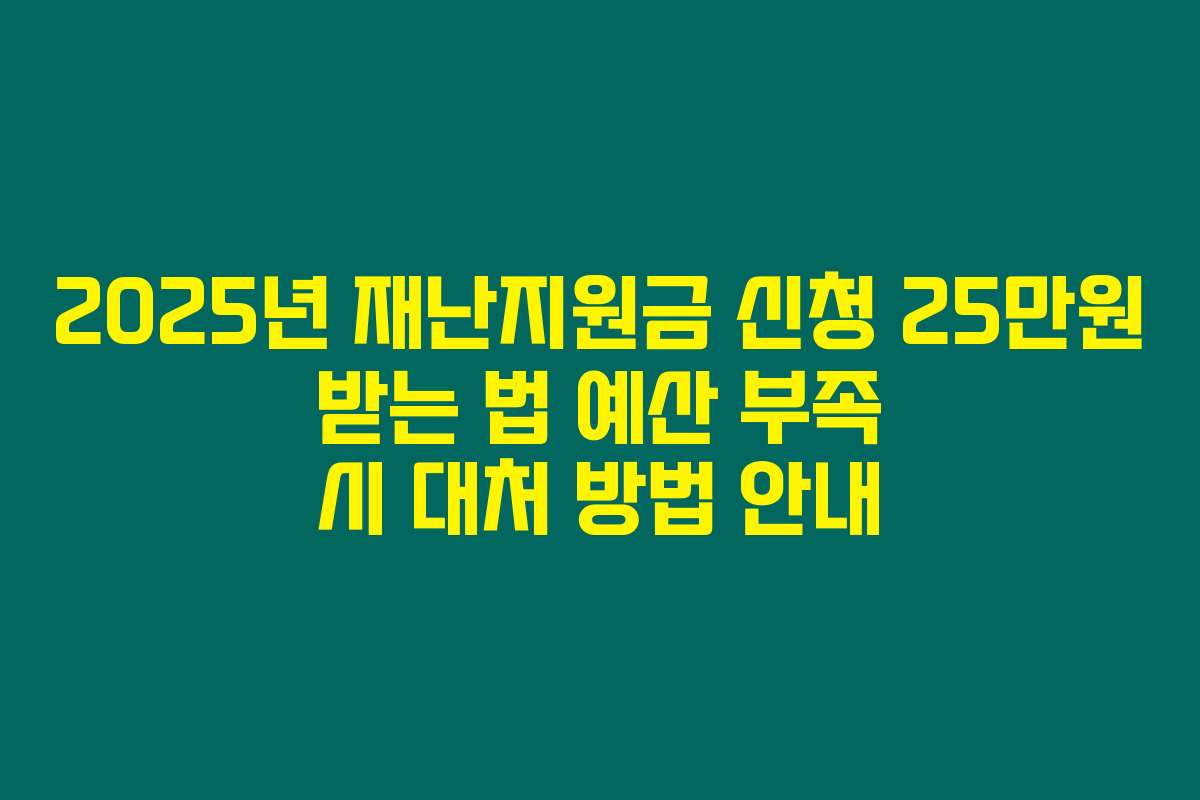 2025년 재난지원금 신청 25만원 받는 법 예산 부족 시 대처 방법 안내