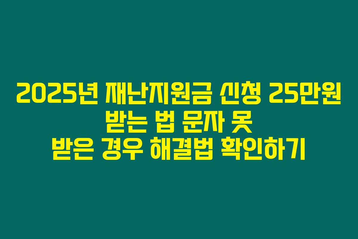 2025년 재난지원금 신청 25만원 받는 법 문자 못 받은 경우 해결법 확인하기