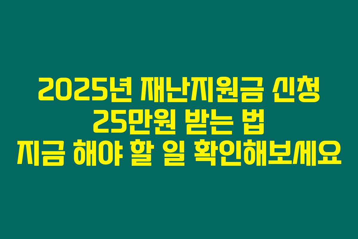 2025년 재난지원금 신청 25만원 받는 법 지금 해야 할 일 확인해보세요