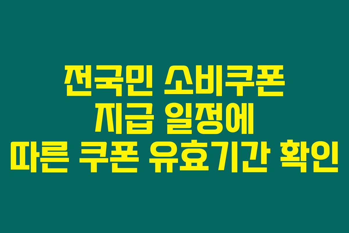 전국민 소비쿠폰 지급 일정에 따른 쿠폰 유효기간 확인