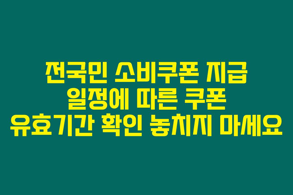 전국민 소비쿠폰 지급 일정에 따른 쿠폰 유효기간 확인 놓치지 마세요