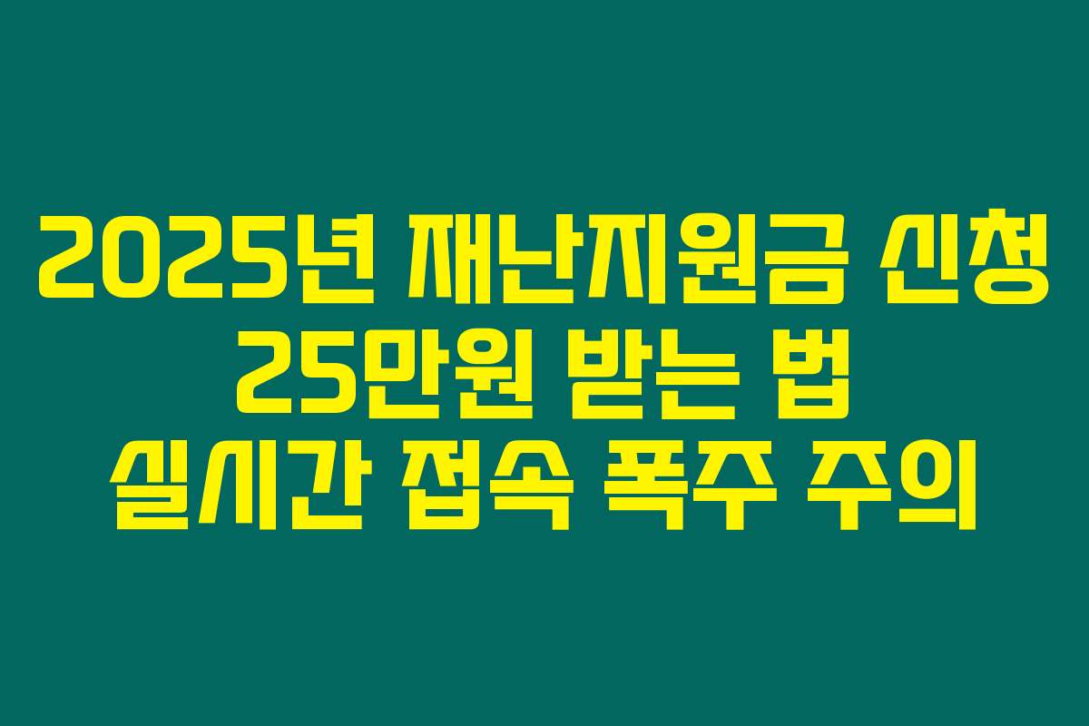 2025년 재난지원금 신청 25만원 받는 법 실시간 접속 폭주 주의