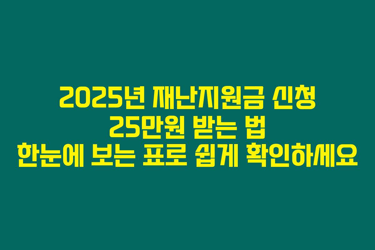 2025년 재난지원금 신청 25만원 받는 법 한눈에 보는 표로 쉽게 확인하세요