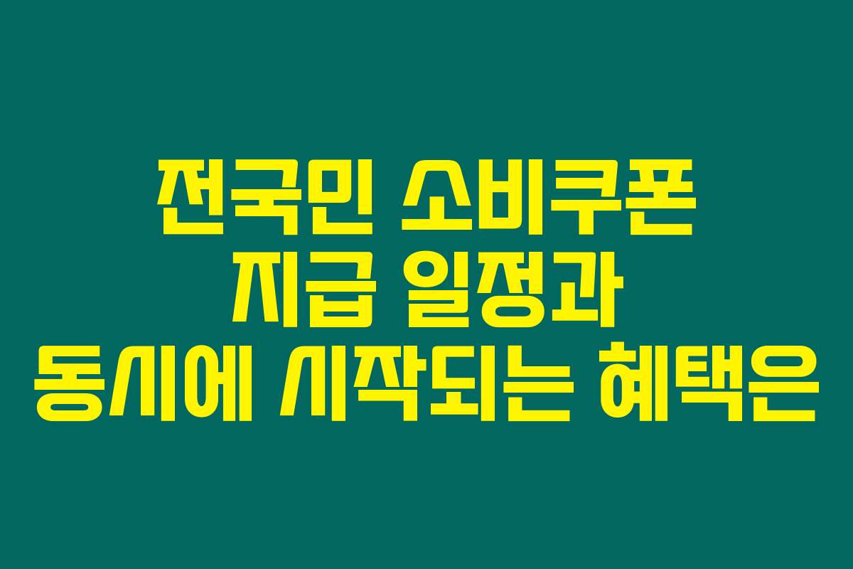 전국민 소비쿠폰 지급 일정과 동시에 시작되는 혜택은