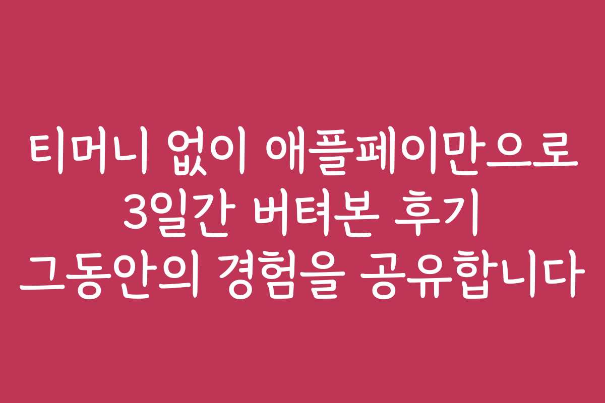 티머니 없이 애플페이만으로 3일간 버텨본 후기 그동안의 경험을 공유합니다