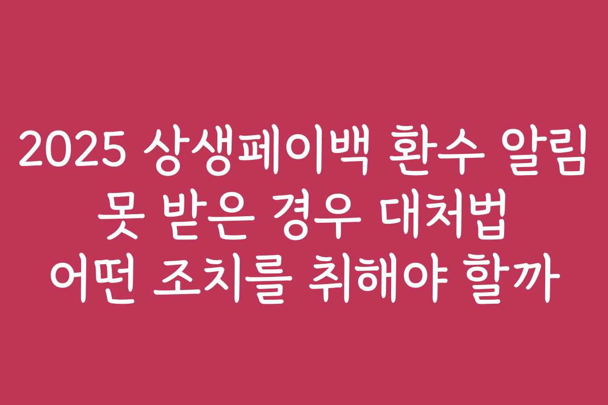 2025 상생페이백 환수 알림 못 받은 경우 대처법 어떤 조치를 취해야 할까