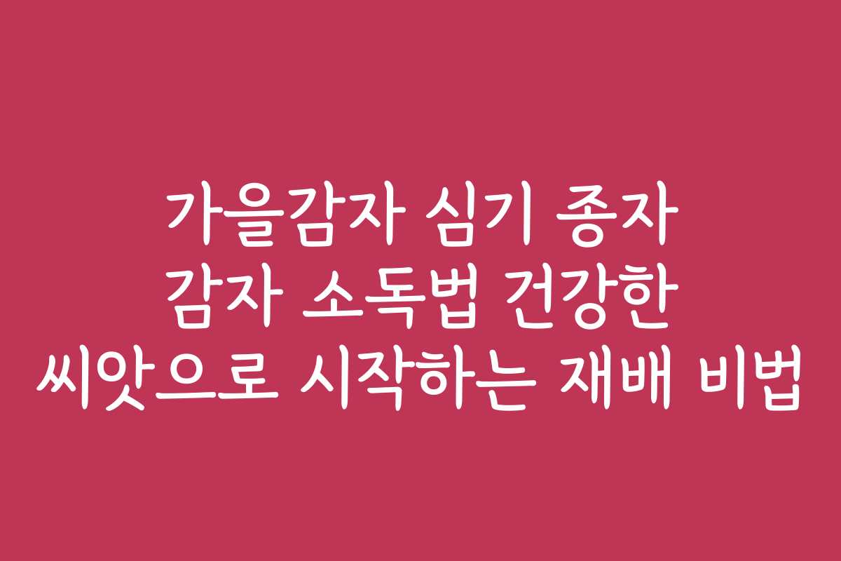 가을감자 심기 종자 감자 소독법 건강한 씨앗으로 시작하는 재배 비법