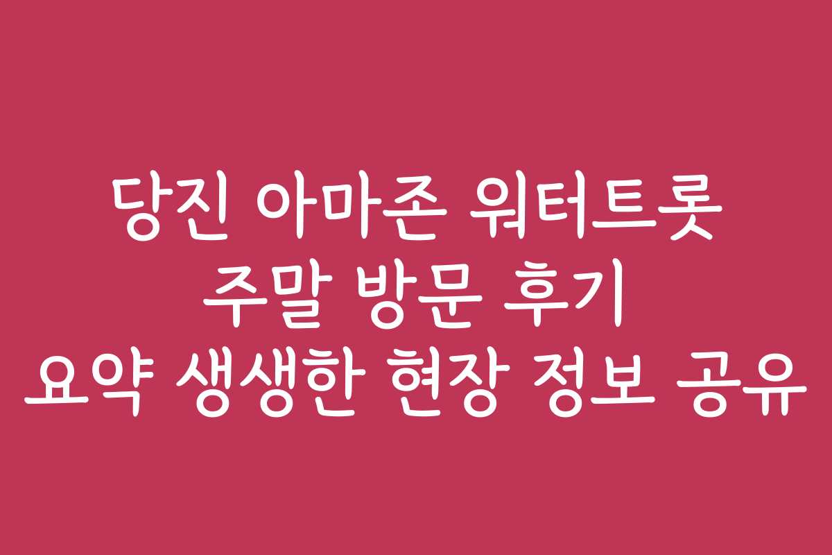 당진 아마존 워터트롯 주말 방문 후기 요약 생생한 현장 정보 공유