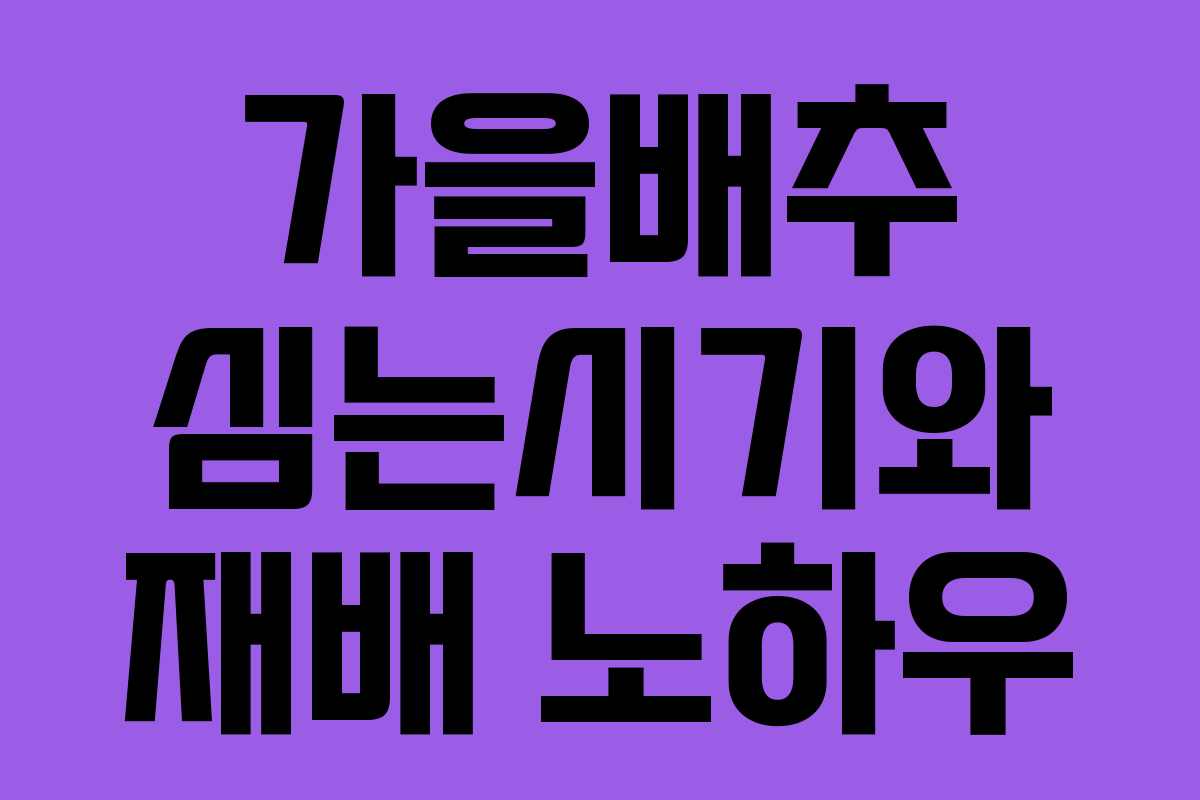 가을배추 심는시기와 재배 노하우