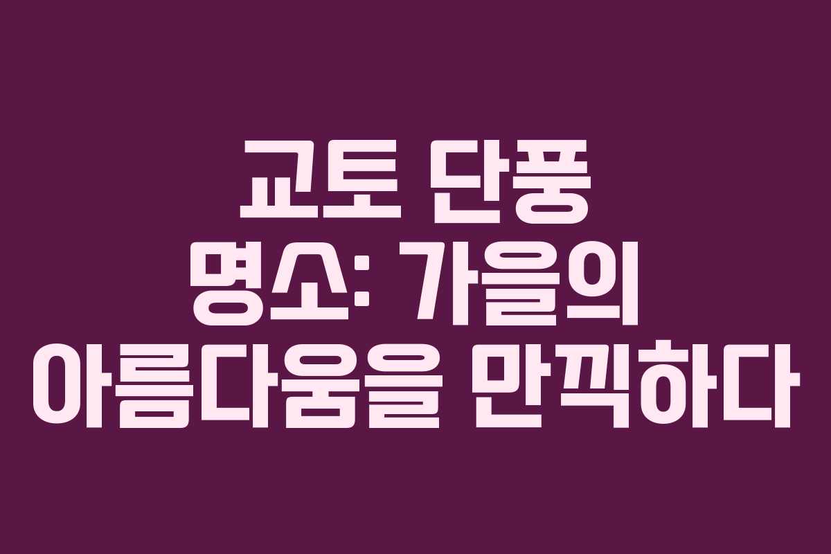 교토 단풍 명소: 가을의 아름다움을 만끽하다
