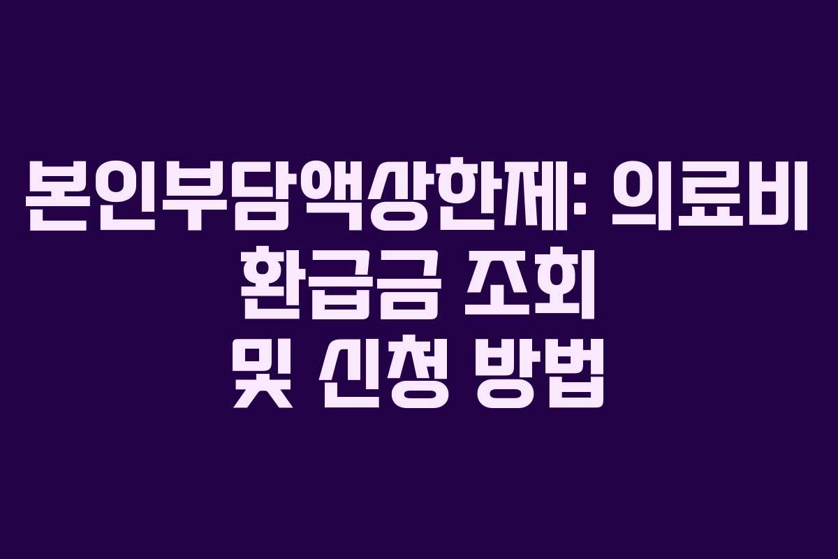 본인부담액상한제: 의료비 환급금 조회 및 신청 방법