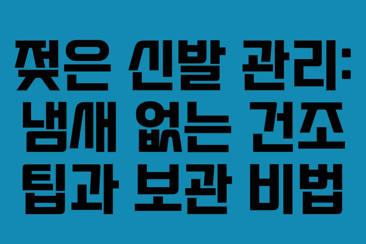 젖은 신발 관리: 냄새 없는 건조 팁과 보관 비법