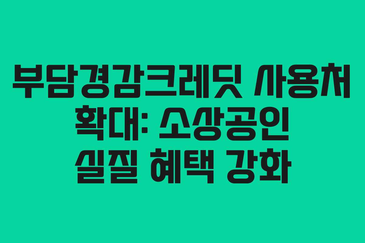 부담경감크레딧 사용처 확대: 소상공인 실질 혜택 강화