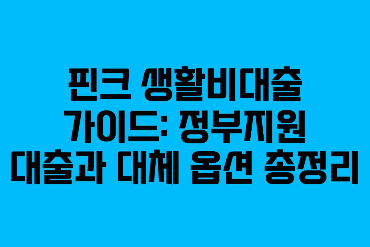 핀크 생활비대출 가이드: 정부지원 대출과 대체 옵션 총정리