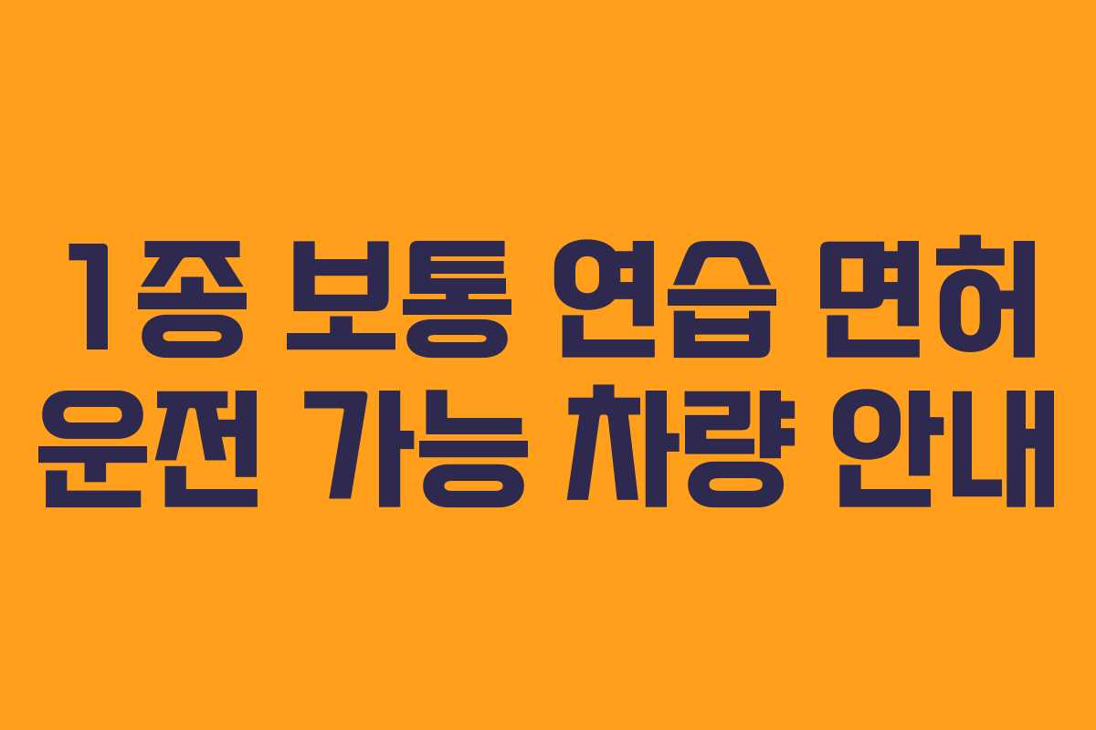 1종 보통 연습 면허 운전 가능 차량 안내