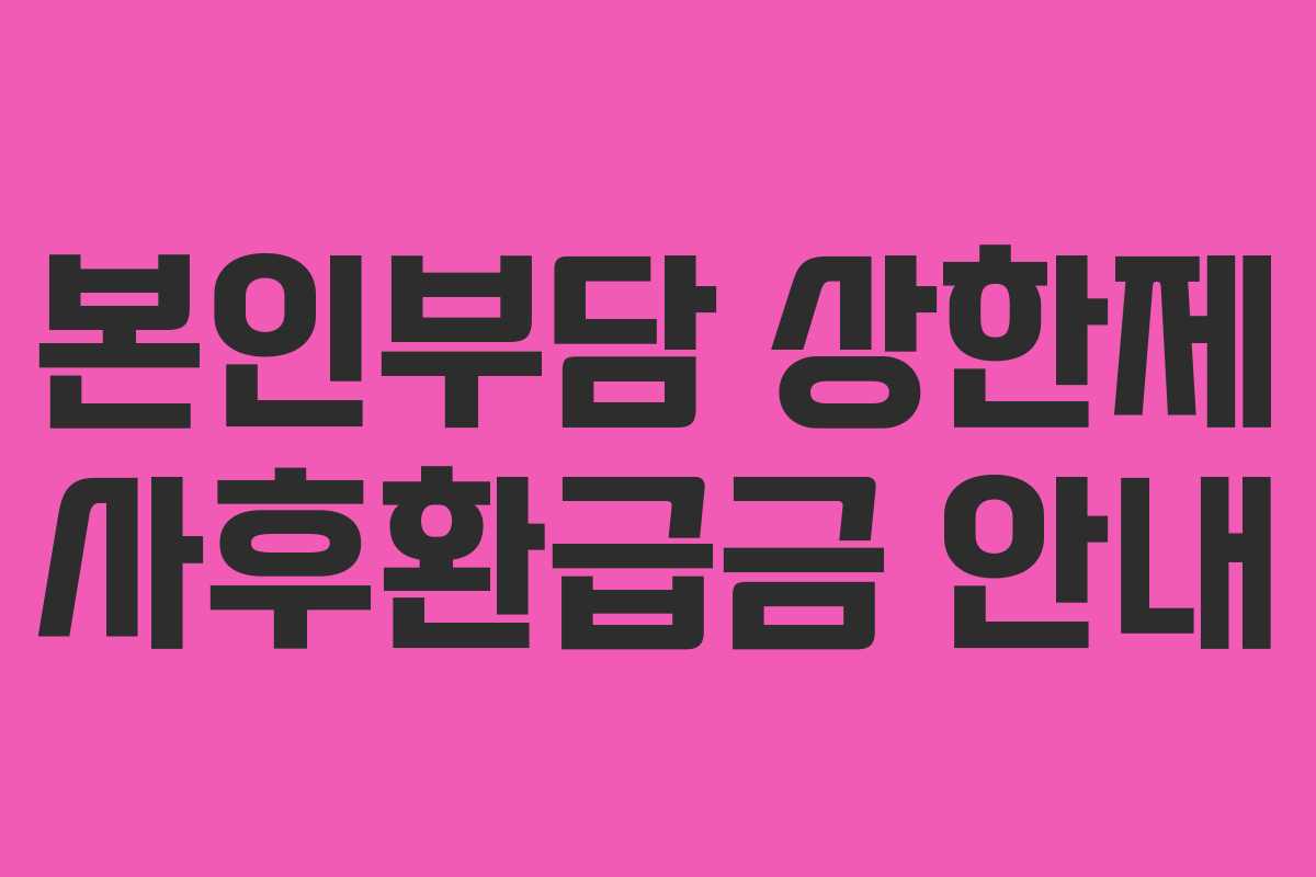 본인부담 상한제 사후환급금 안내