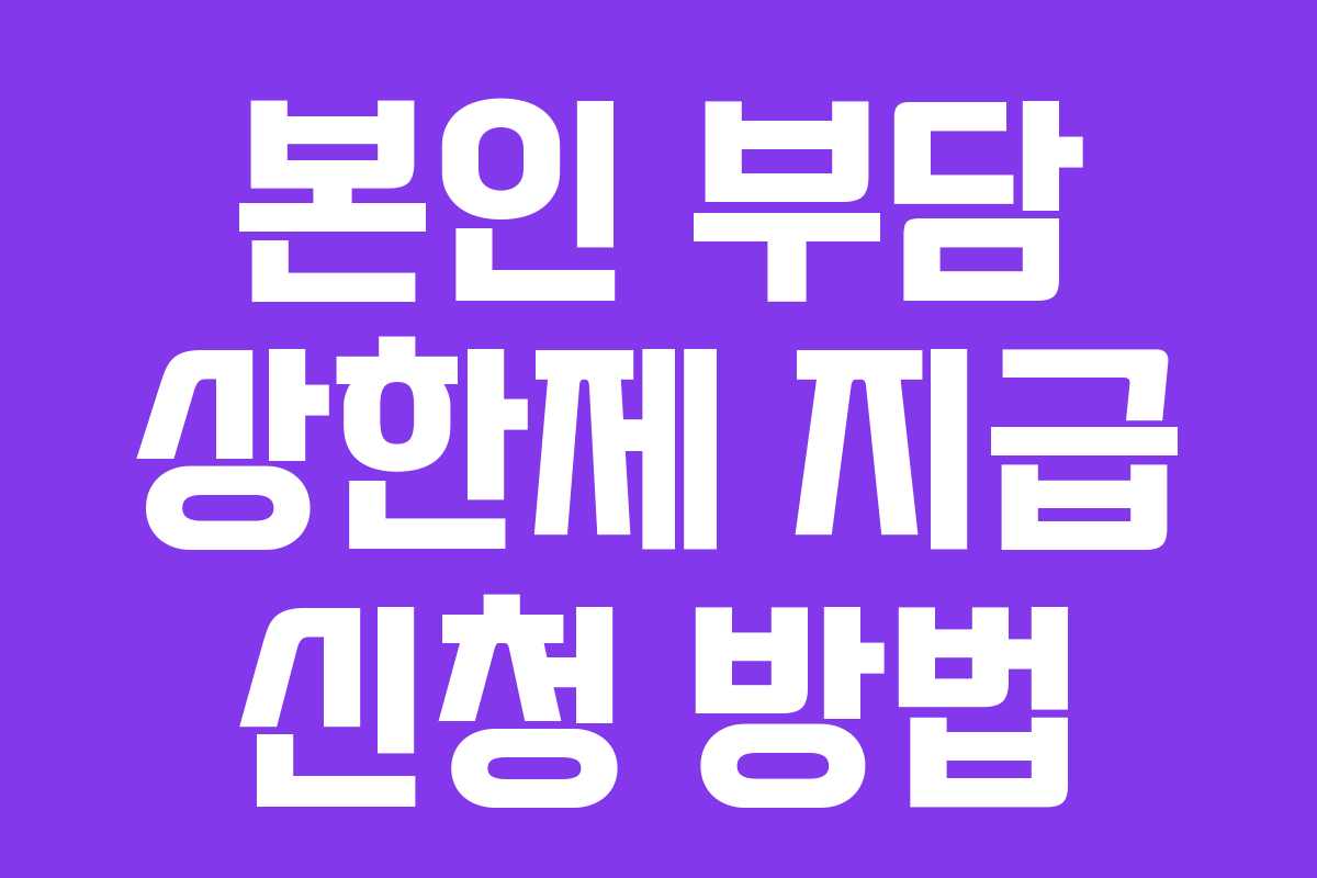 본인 부담 상한제 지급 신청 방법