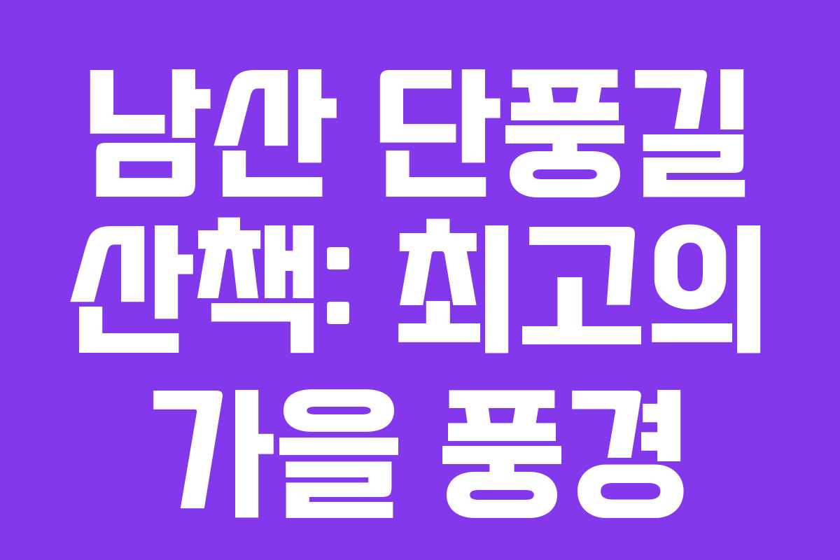 남산 단풍길 산책: 최고의 가을 풍경