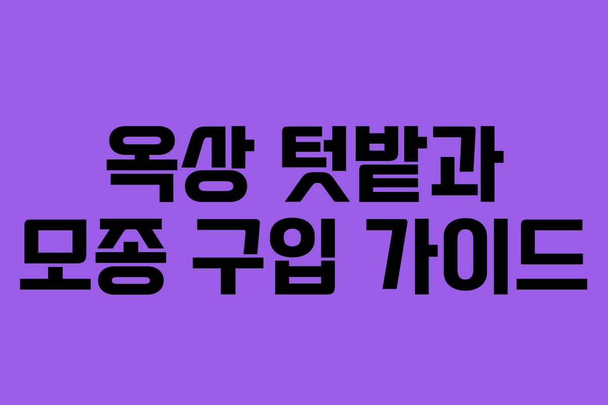 옥상 텃밭과 모종 구입 가이드