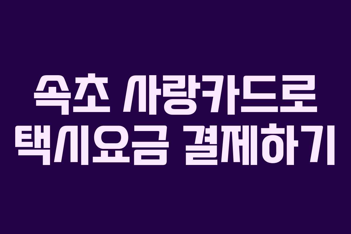 속초 사랑카드로 택시요금 결제하기