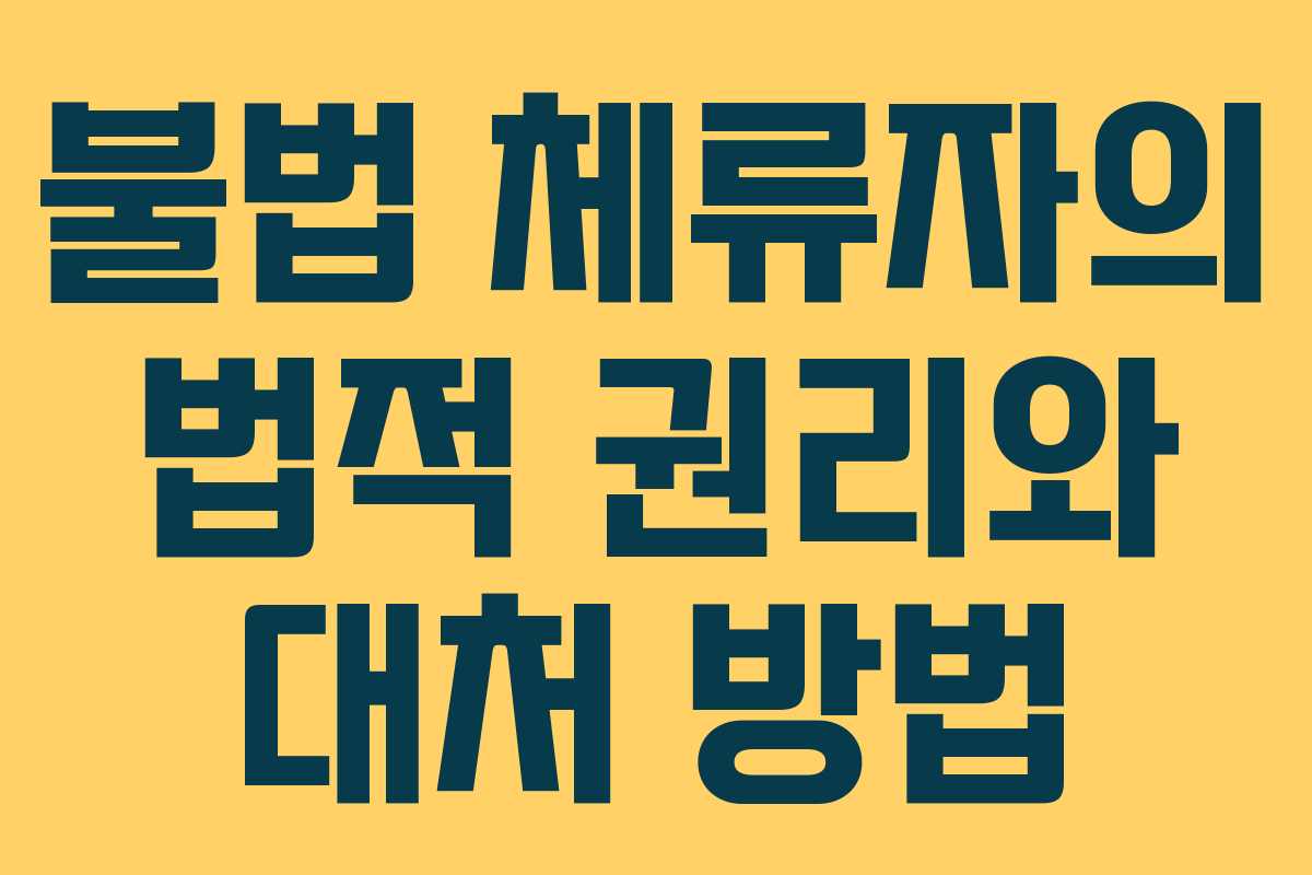 불법 체류자의 법적 권리와 대처 방법